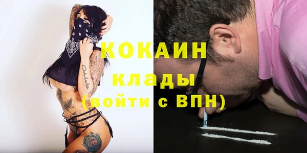 гидра Бородино