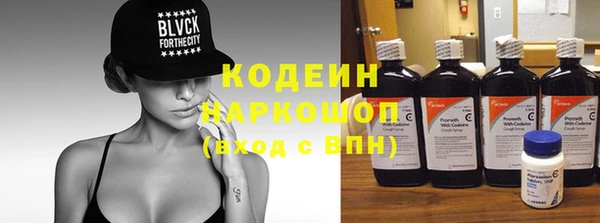 гидра Бородино