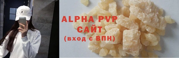 гидра Бородино