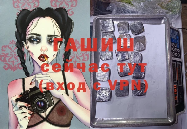 гидра Бородино