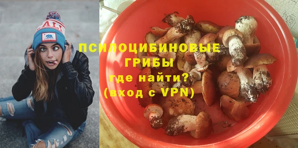 гидра Бородино