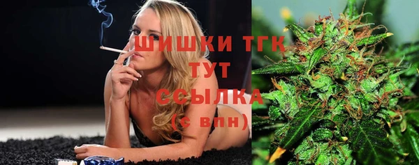 гидра Бородино