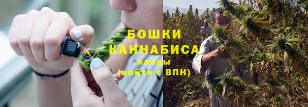 гидра Бородино