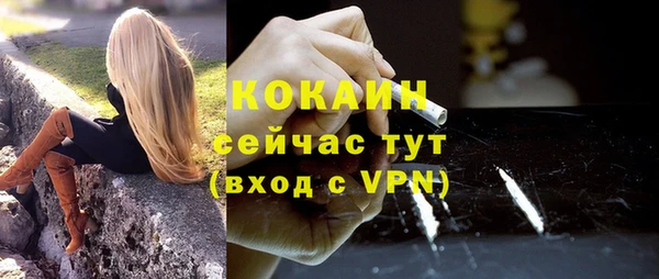 гидра Бородино