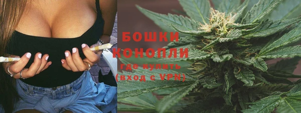 гидра Бородино